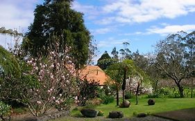 Bio Quinta Do Pantano, Agro Turismo