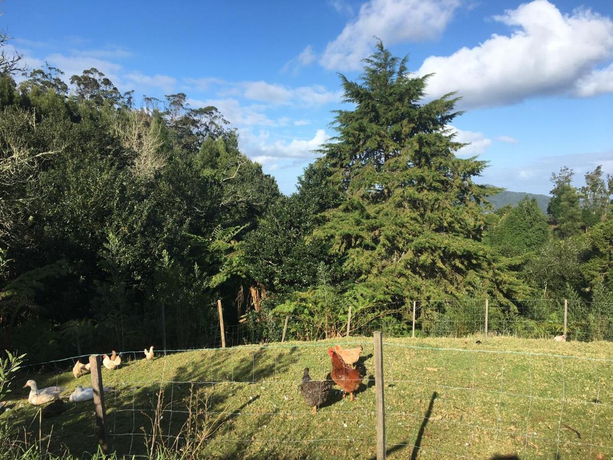 Villa Bio Quinta Do Pantano, Agro Turismo Santo Antonio da Serra Esterno foto