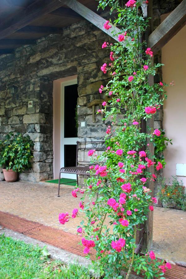 Villa Bio Quinta Do Pantano, Agro Turismo Santo Antonio da Serra Esterno foto
