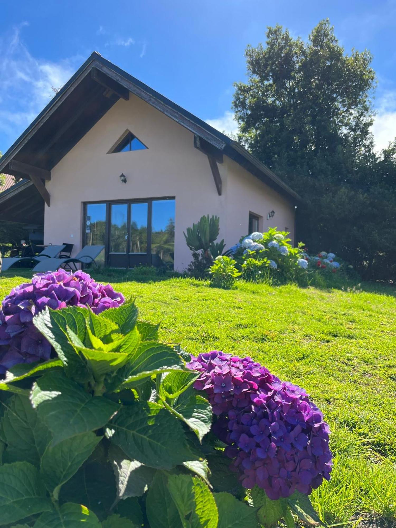 Villa Bio Quinta Do Pantano, Agro Turismo Santo Antonio da Serra Esterno foto