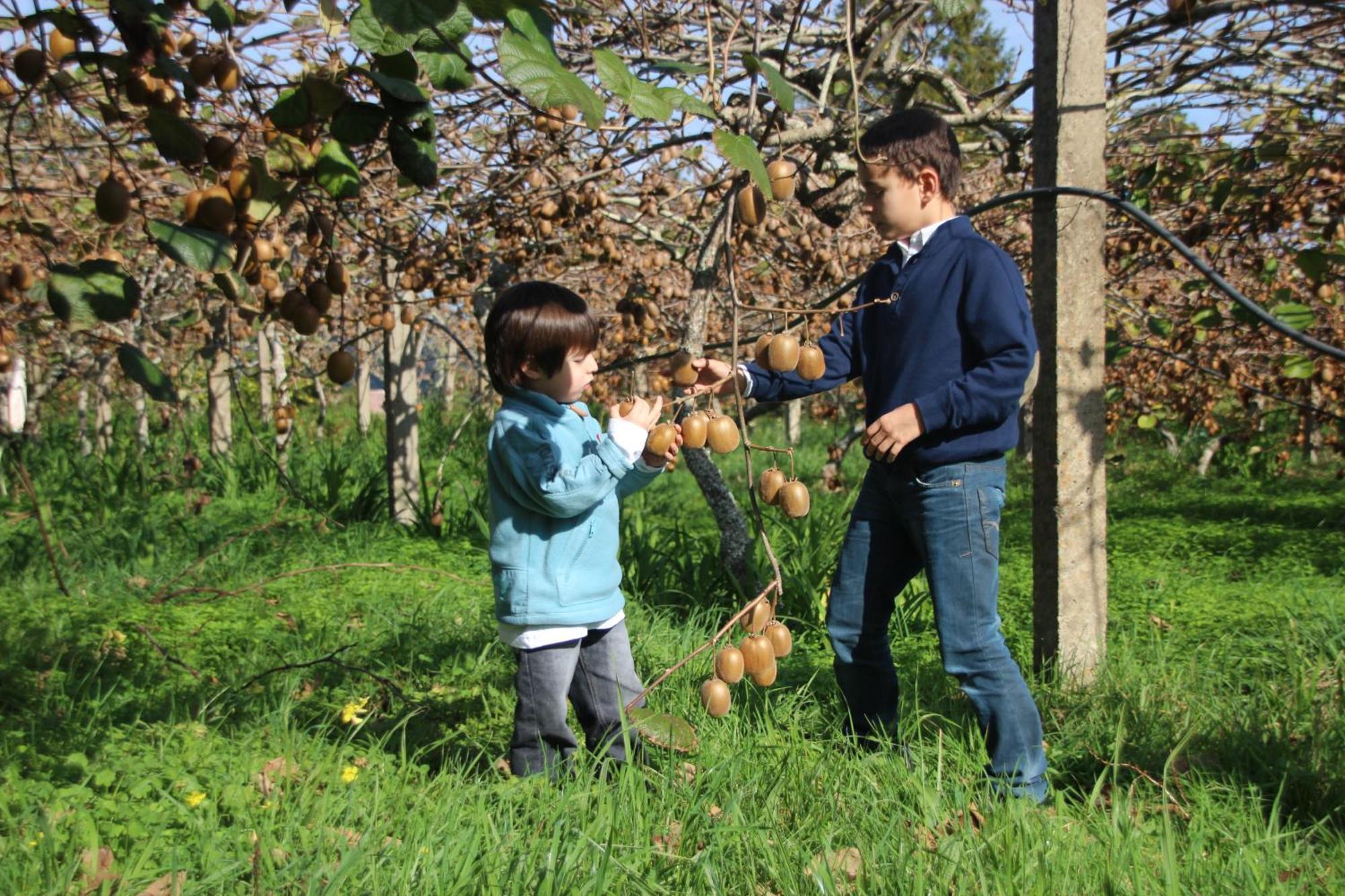 Villa Bio Quinta Do Pantano, Agro Turismo Santo Antonio da Serra Esterno foto